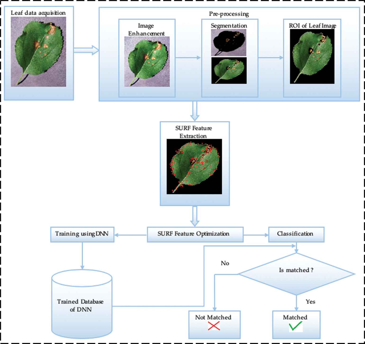 Matlab Project For Plant Disease Detection Classification Using Image Vrogue