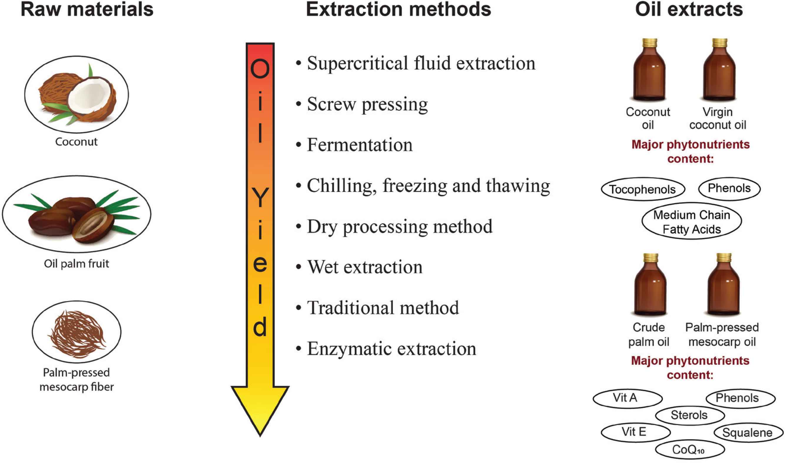 Extraction method. Кокосовое масло на латыни. Получение кокосового масла. Пальмовое масло картинка для схемы. Пальмовое масло и кокосовое масло.